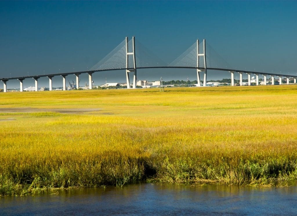 Service Center - Sidney Lanier Bridge Rising Above Golden Marsh Grass and Water