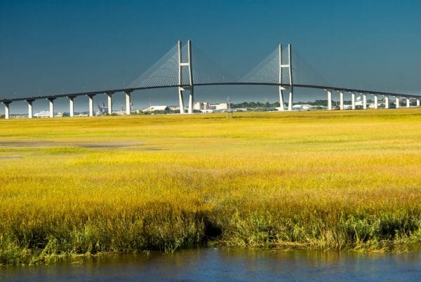 Service Center - Sidney Lanier Bridge Rising Above Golden Marsh Grass and Water