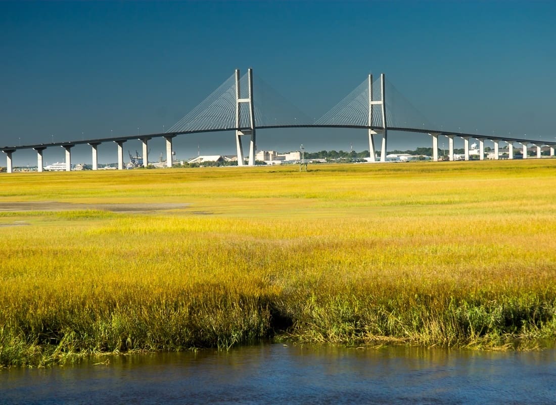 Service Center - Sidney Lanier Bridge Rising Above Golden Marsh Grass and Water